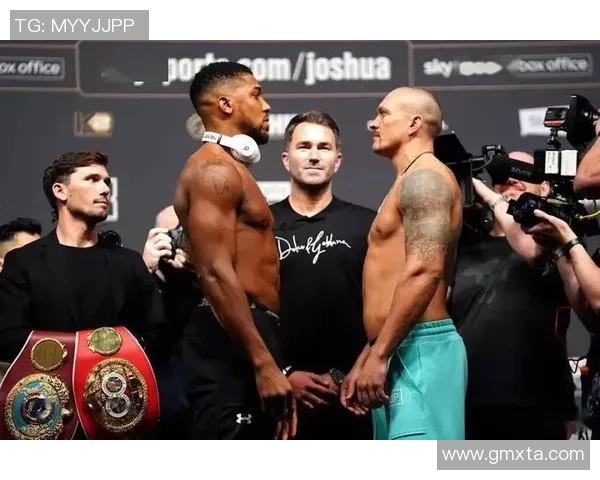 约书亚与鲁依滋二番战精彩回放及赛后分析全景呈现